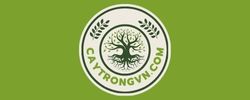 Caytrongvn.com